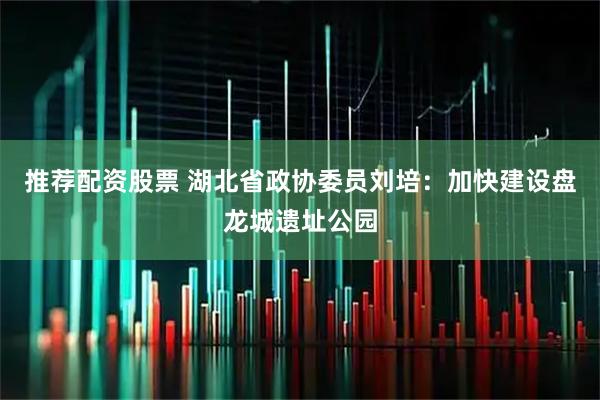 推荐配资股票 湖北省政协委员刘培：加快建设盘龙城遗址公园