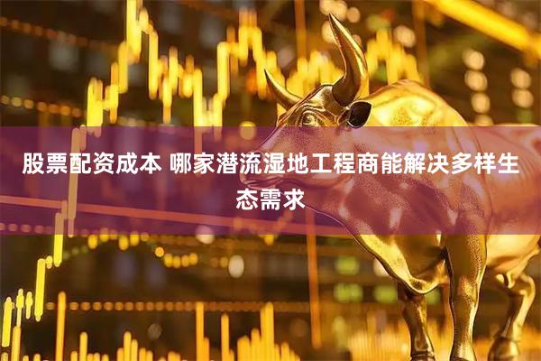 股票配资成本 哪家潜流湿地工程商能解决多样生态需求